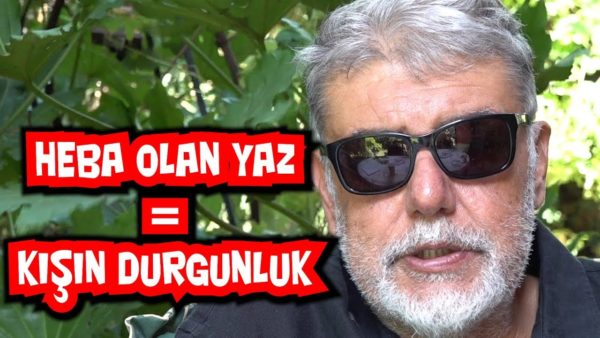 Hükümetin heba ettiği yaz, kışın durgunluk demek