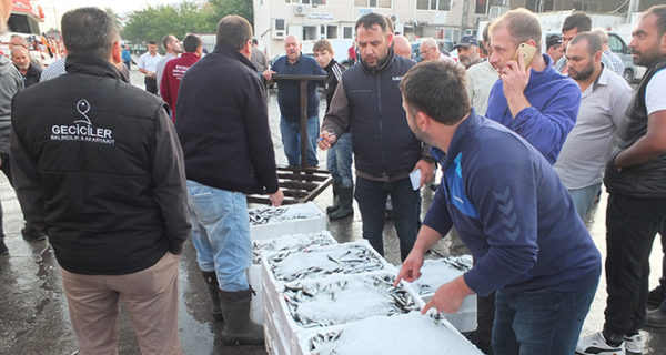 Rüzgar durdu, balık bollaştı