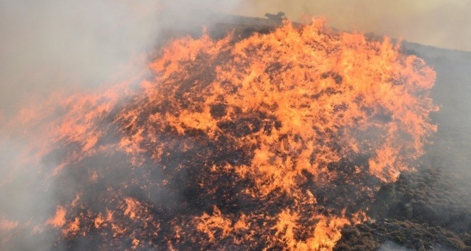 Orman yangınları erken uyarı sistemiyle engellenecek