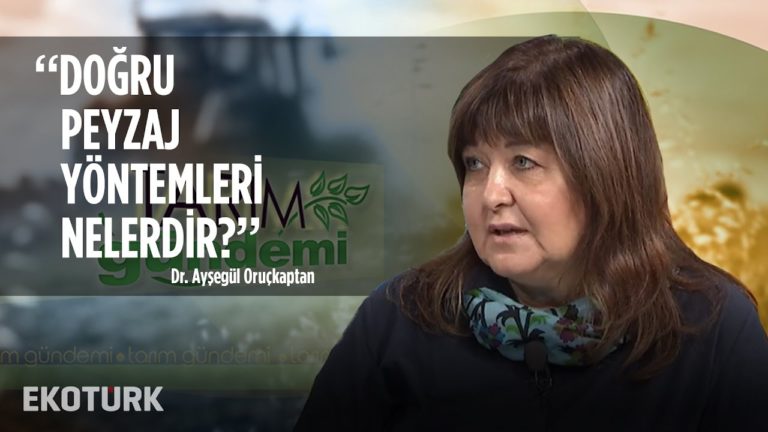 Peyzaj çalışmalarında bitki kullanımı | Dr. Ayşegül Oruçkaptan