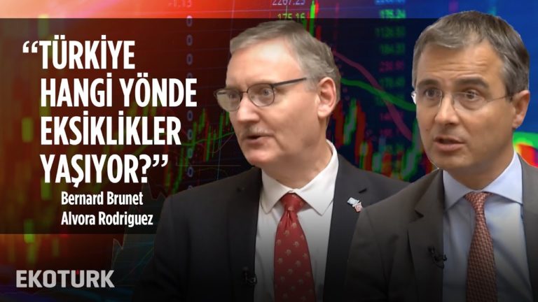 Hukuk-Ekonomi & Türkiye-AB İlişkileri | Bernard Brunet, Alvora Rodriguez | 24 Ekim 2019