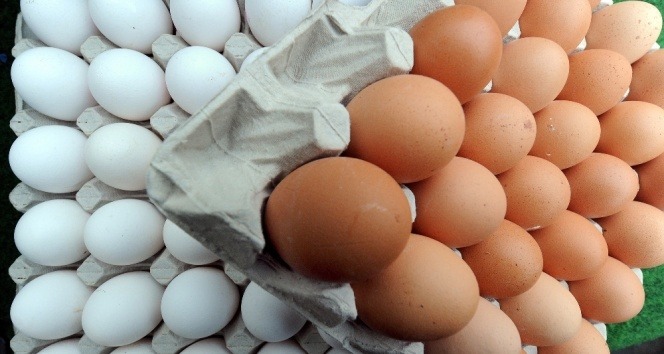 Tavuk yumurtası üretiminde artış