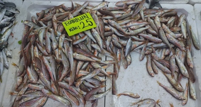 Tezgahta balık fiyatları arttı