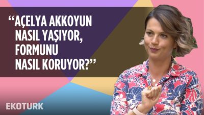 En güzel süprizlerle Açelya Akkoyun'un Hayatı | Hande Kazanova