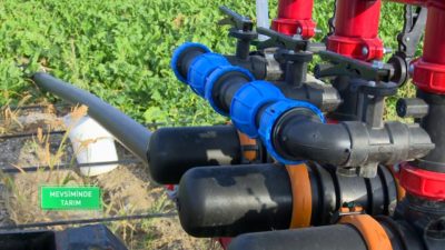 Mevsiminde Tarım - Şeker Pancarı | 16.11.2019