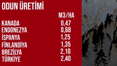 Ormanları nasıl yağmalıyoruz? Ekonomi nereye gidiyor? / Emin Çapa Canlı Yayını