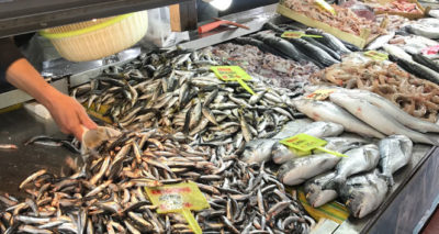 Balık fiyatları el yakıyor