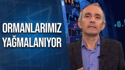 Türkiye Ormanlarını Nasıl Yağmalıyor? | Emin Çapa