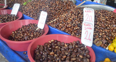 Kestane bu yıl el değil, cep yakıyor