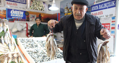 Mezgit fiyatı rekora koşuyor