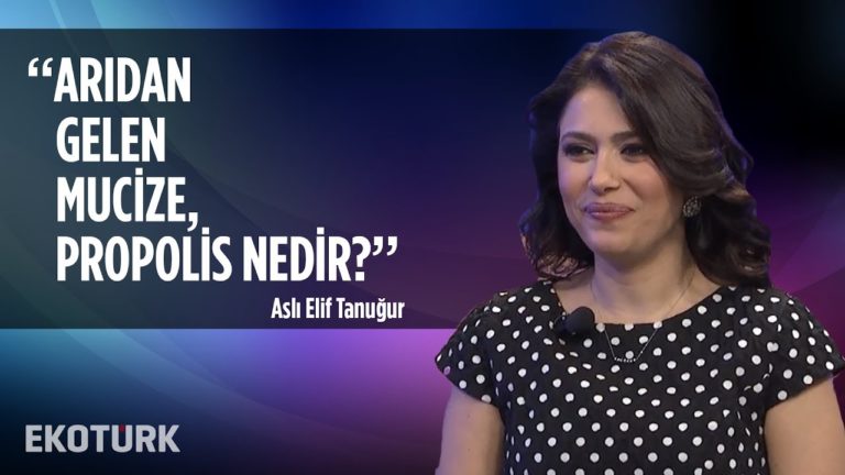 İş'te Üstün Başarı, İşte Girişim | Aslı Elif Tanuğur