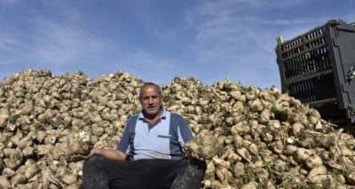 Şeker pancarı üreticileri, firmanın yüksek fire oranı göstermesinden dertli