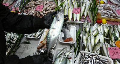 2019 yılı balıkçıların yüzünü güldürmedi