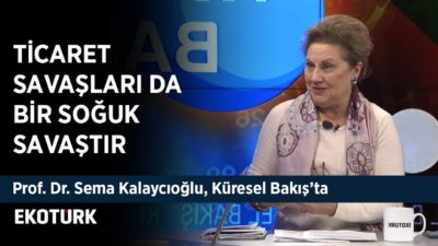 Türkiye - Libya Anlaşması | Prof. Dr. Sema Kalaycıoğlu | 6 Aralık 2019