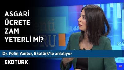 Yerli Otomobilde Devlet nasıl bir yol izleyecek? | Dr. Pelin Yantur | 27 Aralık 2019