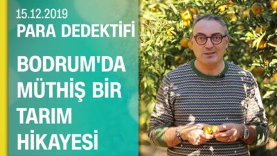 Cem Seymen, Bodrum'da müthiş bir tarım hikayesi anlattı - Para Dedektifi 15.12.2019 Pazar