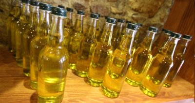 İsim değiştiren de cezadan kurtulamayacak