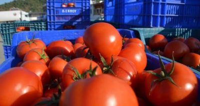 İstanbul’un Kasım ayı zam şampiyonu domates oldu