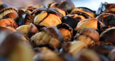 Kabzımal ve satıcılardan Çin kestanesine ‘veto’