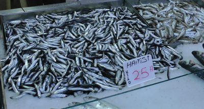 Karadeniz'de hamsi fiyatı tavan yaptı