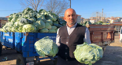 Lahana fiyatlarındaki düşüş çiftçinin yüzünü güldürmedi