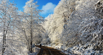 Ordu'da kar güzelliği