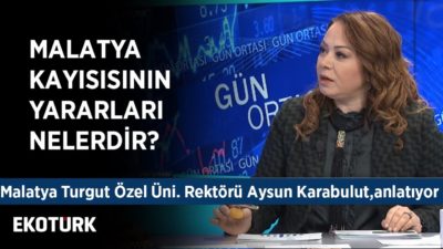 Malatya Kayısısı Üzerine Araştırmalar | Aysun Karabulut | Ahu Orakçıoğlu
