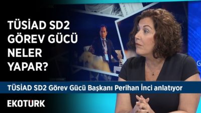 TÜSİAD SD2 Görev Gücü, İngiltere Seçimleri | James Rothwell, Perihan İnci | Ahu Orakçıoğlu