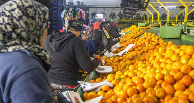2019'da gıda ve tarımda öne çıkanlar