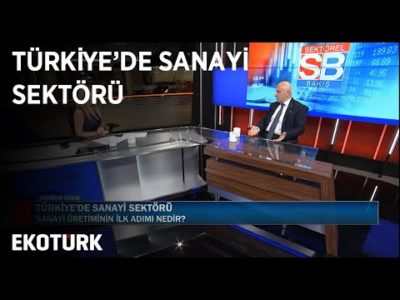 Türkiye'de Sanayi Sektörü | Muammer Ömeroğlu | Serpin Alparslan
