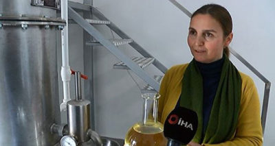 800 liralık lavanta çiçeğinden 20 bin liralık yağ elde ediliyor