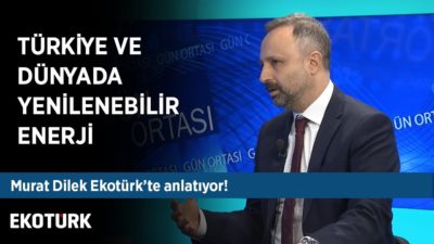 Bireysel Elektrik Üreticileri İçin Devlet Desteği | Ahu Orakçıoğlu ile Gün Ortası