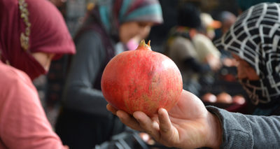 Antalya'dan İngiltere ve Ukrayna’ya nar ihracatı