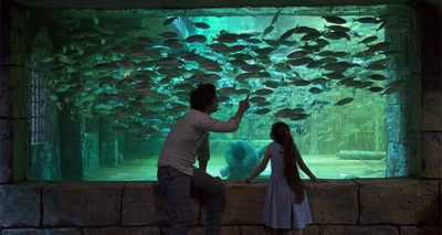 Çocuklara aslanlı ve akvaryumlu yarıyıl hediyesi