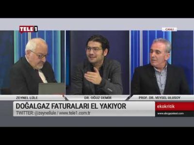 Ekonomi nasıl yönetiliyor - Ekokritik (21 Ocak 2020)