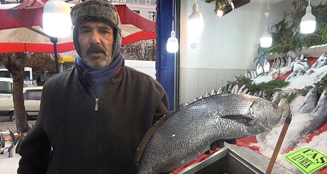 Hamsi Rusya ve Gürcistan’a kaçtı, vatandaşlar buzhane balığı tüketiyor