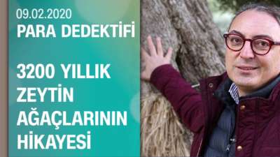 Cem Seymen, 3 bin 200 yıllık zeytin ağaçlarının hikayesini anlattı - Para Dedektifi 09.02.2020 Pazar