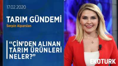 2019 Yılında En Çok Hangi Tarım Ürünü Tercih Edildi? | Serpin Alparslan | Selçuk Bağcı