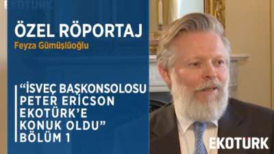 KORONAVİRÜSTEN AVRUPA BİRLİĞİ'NİN GELECEĞİNE PETER ERICSON'DAN SAMİMİ AÇIKLAMALAR... BÖLÜM 1