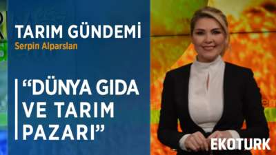 Coronavirüs Salgını Çin Ticaretini Nasıl Etkiliyor? | Aslıhan Aydınlık | Selçuk Bağcı | 02.03.2020