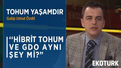 BUĞDAY GDO'LU MU? | Galip Umut Özdil | Prof. Dr. Seydi Ahmet Bağcı