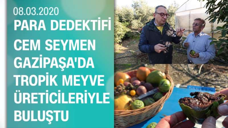 Cem Seymen, Gazipaşa’da tropik meyve üreticileriyle bir araya geldi – Para Dedektifi 08.03.2020