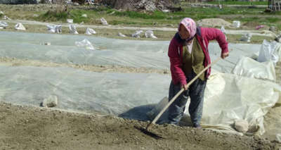 Tütüncülerin telaşı başladı