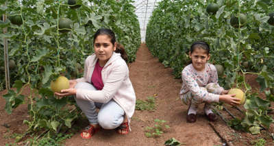 Antalya’da kavun hasadı başladı
