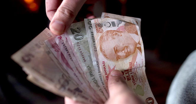 BES’te yabancı para cinsinden devlet katkısı oranı yüzde 10 olarak belirlendi