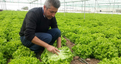 Korona virüs fiyatını yarı yarıya düşürdü