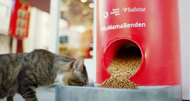 Türkiye Vodafone Vakfı’ndan 'Salgında sokak hayvanlarını unutma' çağrısı