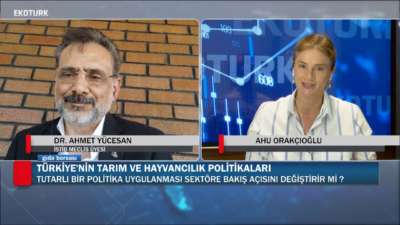 Türkiye'de Hayvancılık Sektörü