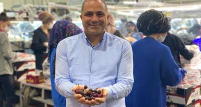 Avrupa, Türk kirazını bekliyor