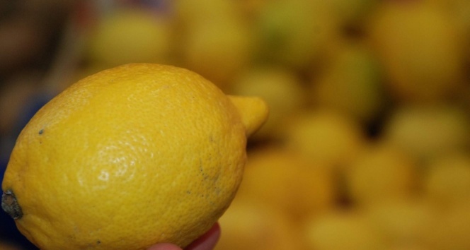 Limon üreticisine ihracat müjdesi